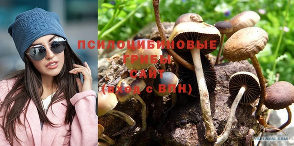 стафф Арсеньев