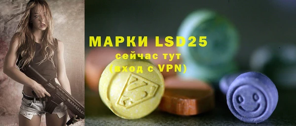 индика Армянск