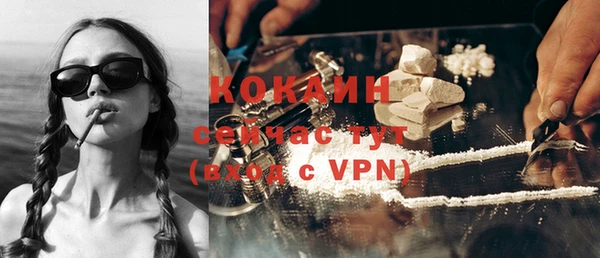индика Армянск