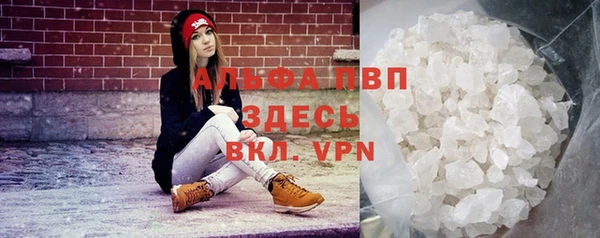 индика Армянск