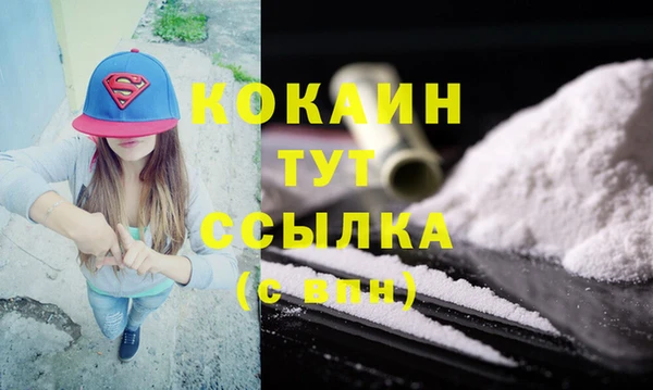 стафф Арсеньев